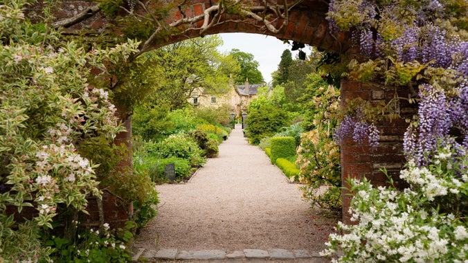 A view into the Walled garden through the wisteria-lined archway